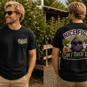 Nice Figs