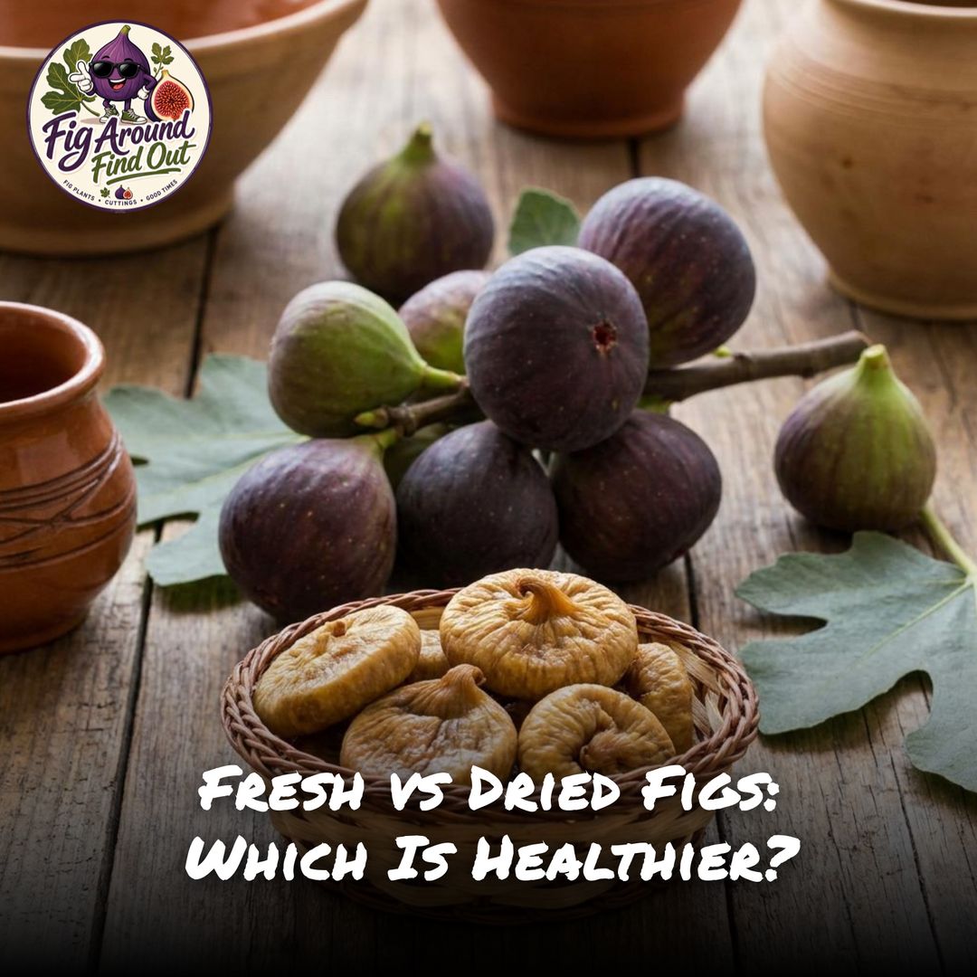 Fresh vs Dried Figs: Which Is Healthier?