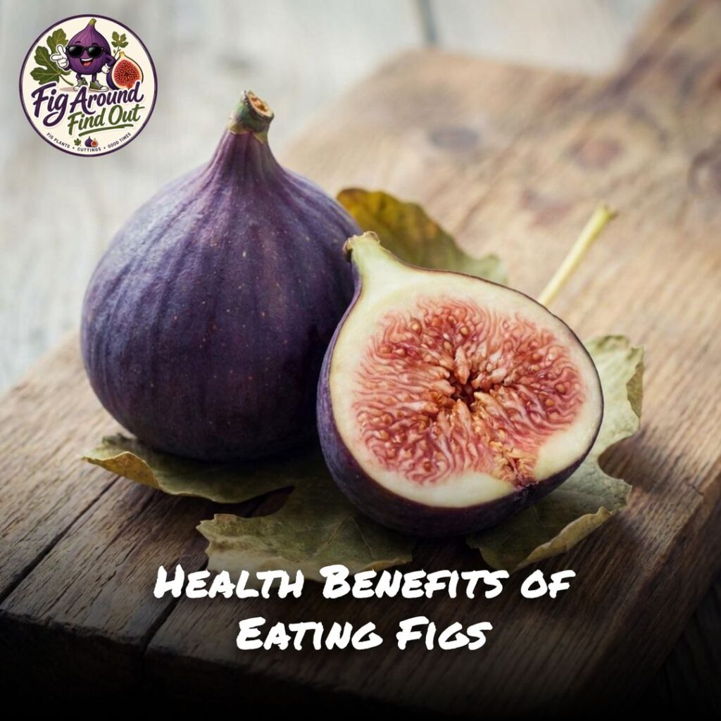 Health Benefits of Eating Figs